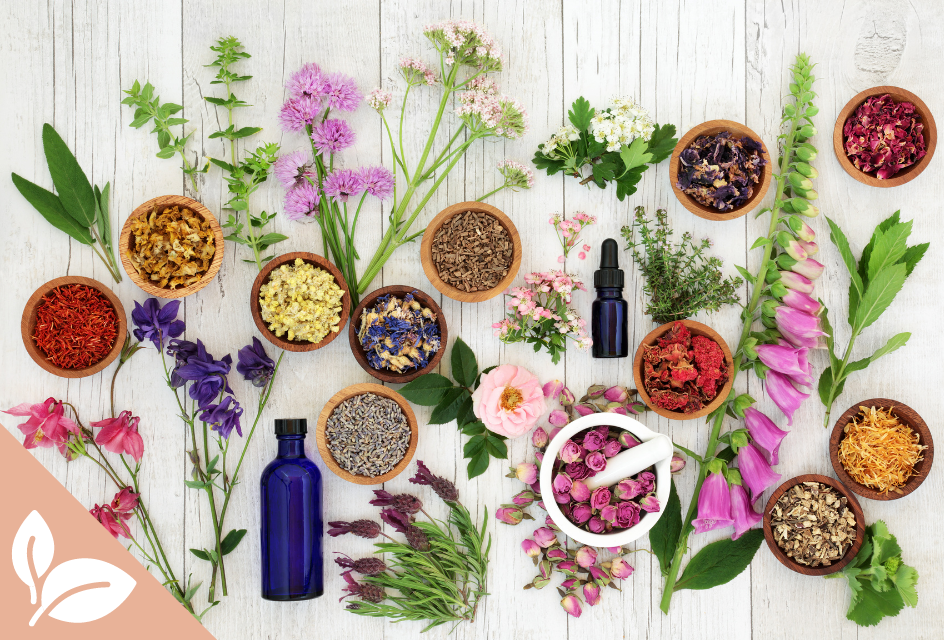 ingrédients naturels à base de fleurs pour cosmétiques écologiques.